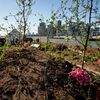 An Edible Forest Is Floating Around NYC On A Barge